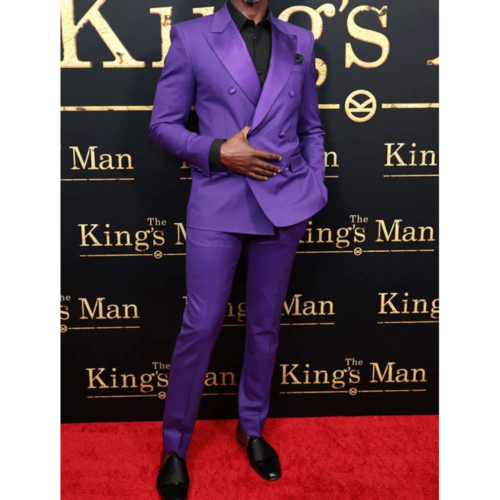 Purple Double Breasted Men's Suit 2 Pieces Work Commte Business Casual Formal Occasion Male Clothing